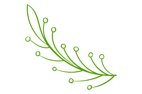 Green Branch: The Versatile Hand Drawn Floral Ornament