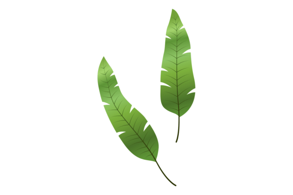 Palm Leaves and Tropical Greenery: The New Visual Language of Modern Design