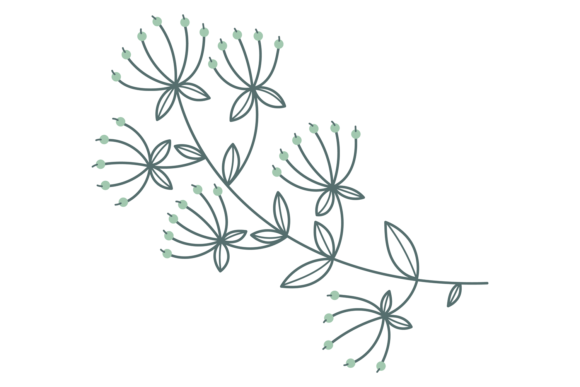 The Artful Revival: How Hand Drawn Botany Shapes Modern Design