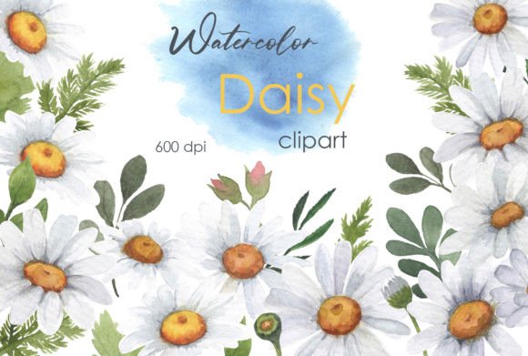 Watercolor Clipart: Floral Daisy PNG Elements